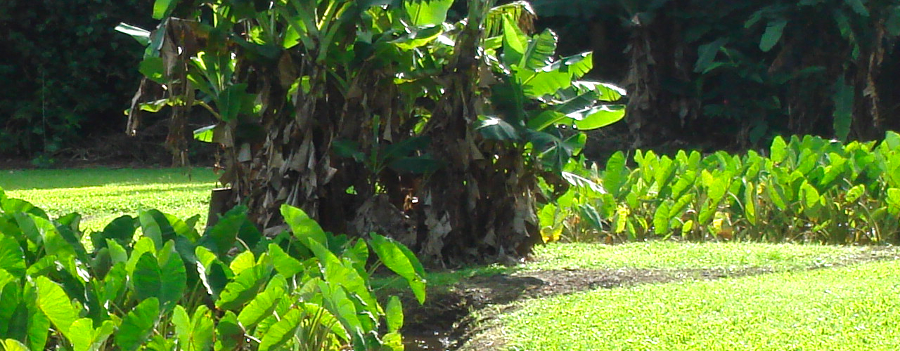 Ultra Hawaii Embroidery logo