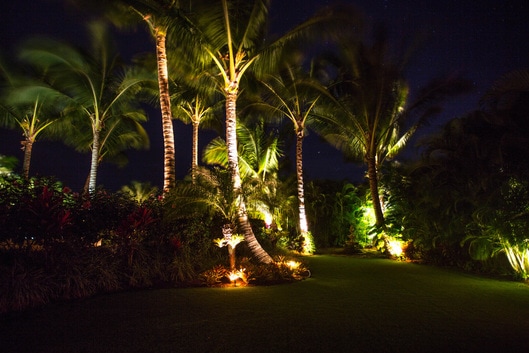 Pineapple Inn Maui logo