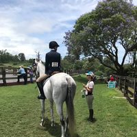 Riding With Aloha logo