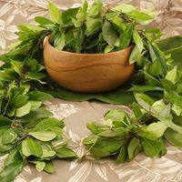 Norman's Mortuary logo