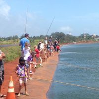 Ali&#x27;i Agriculture Farms logo