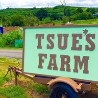 Tsue's Farm logo