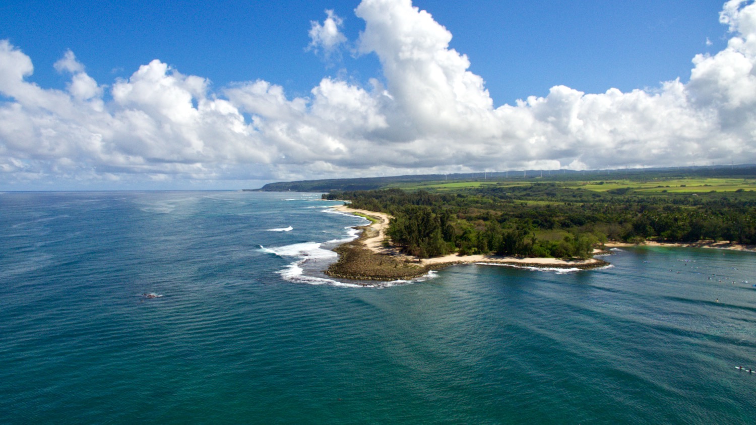 Hawaii Makai Ash Scattering logo