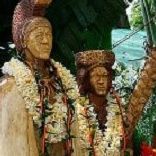 Tropical Farms Macadamia Nuts logo