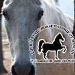 Therapeutic Horsemanship Of Hawaii logo