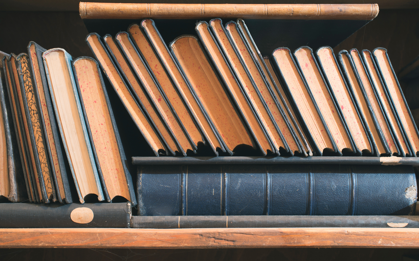 The Novel Chick LLC logo