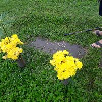 Greenhaven Memorial Park logo