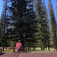 Lanai City Lanai logo