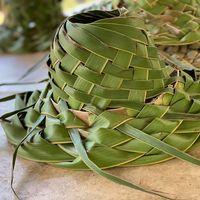 Sugah Daddeh's Kane Juice logo