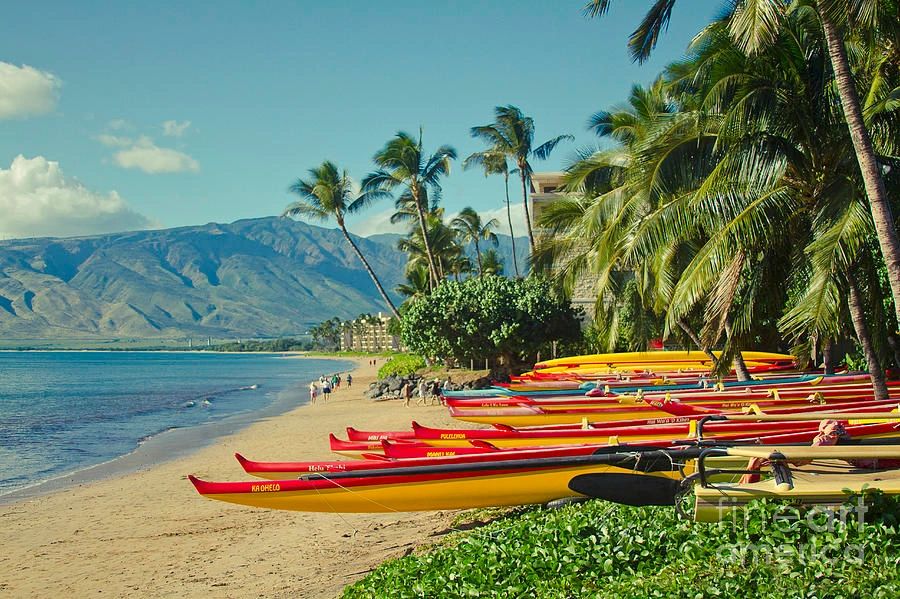 Keri C Mehling Attorney At Law logo