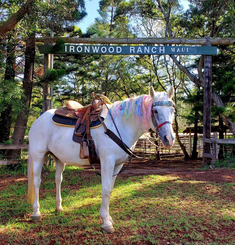 Ironwood Ranch Horseback Riding logo