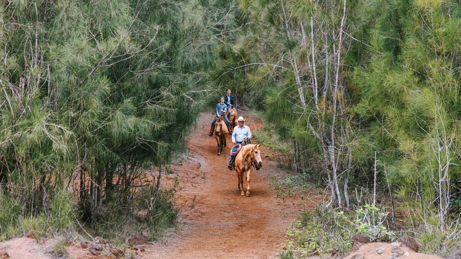 Stables At Koele logo