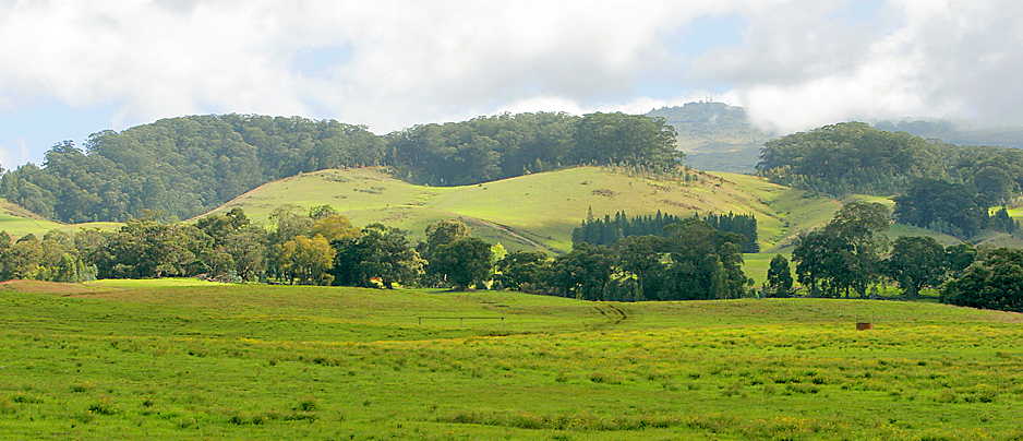 Haleakala Ranch logo
