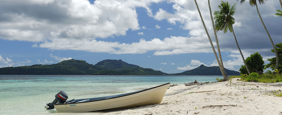 Micronesia Imports logo