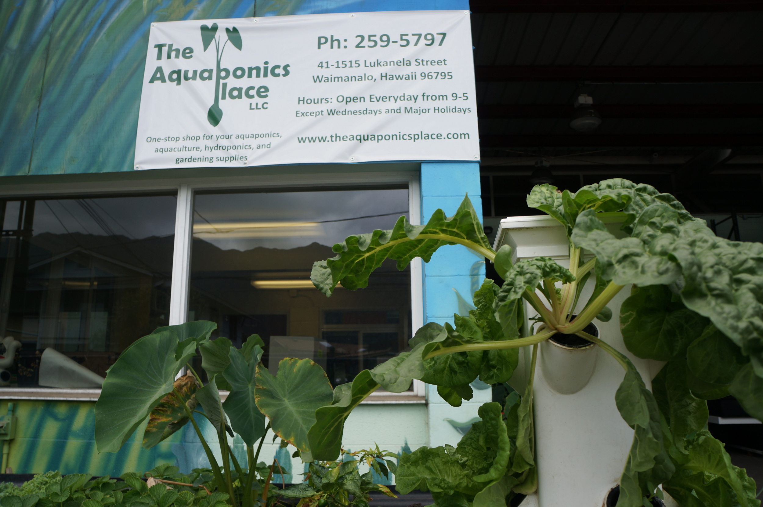 The Aquaponics Place logo