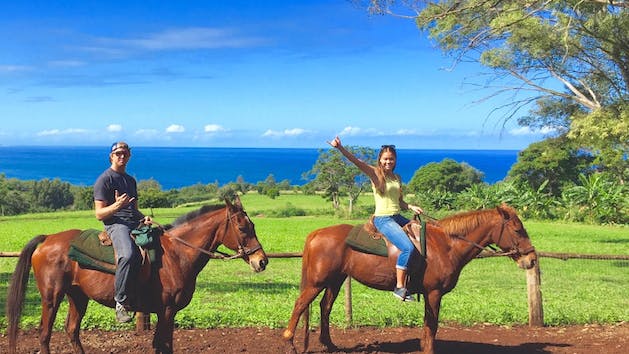 Happy Trails Hawaii Horseback Rides logo