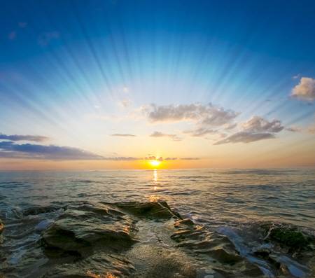 Pacific Hypnosis Llc logo