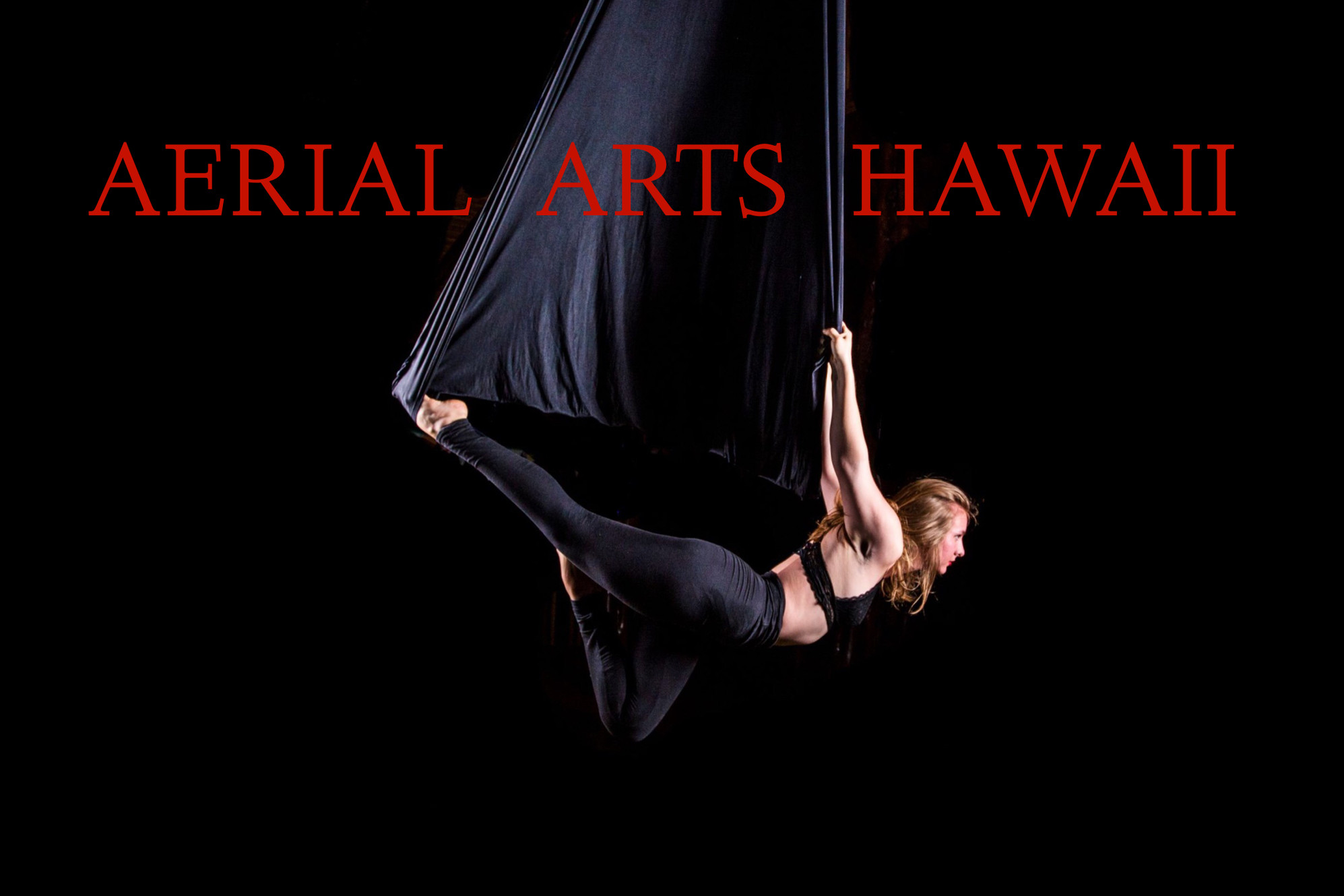 Aerial Arts Hawai'i (The Airhouse) logo