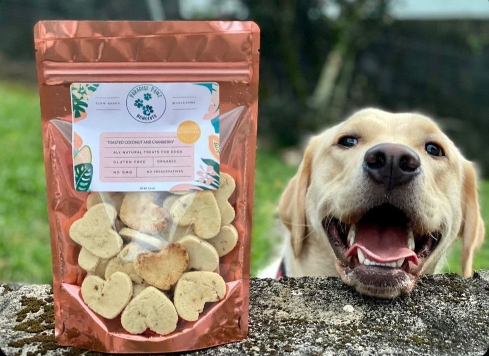 Paradise Pawz Llc logo