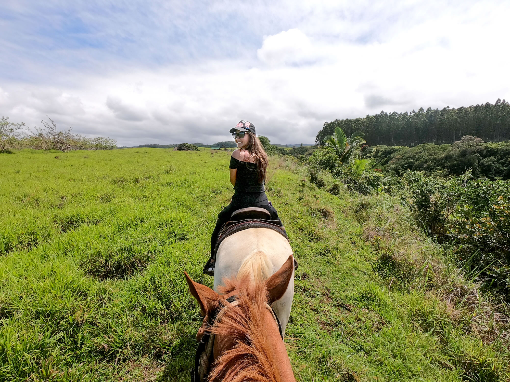 Wailea Horseback Adventure - Waipio Ridge Stables Llc logo