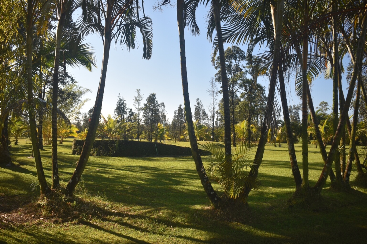 Lavalinks Recreation Club logo