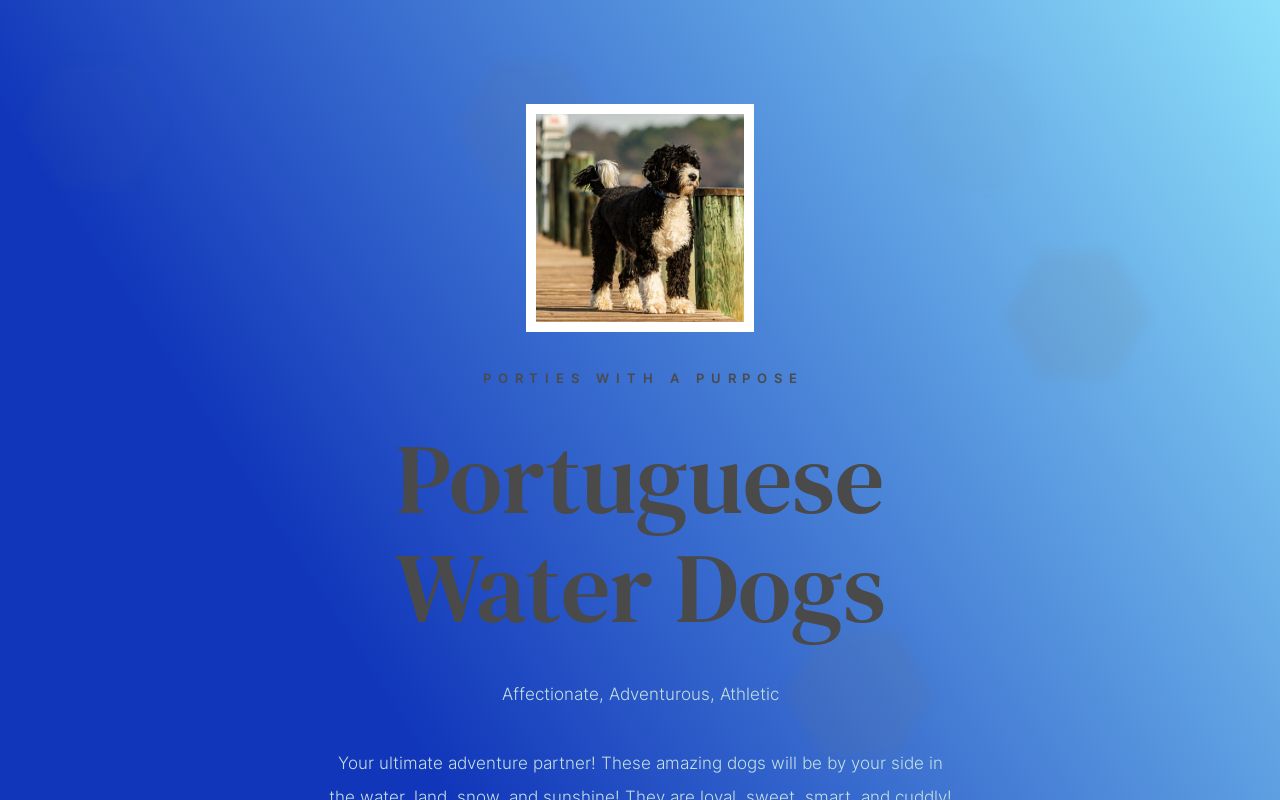 Porties With A Purpose logo