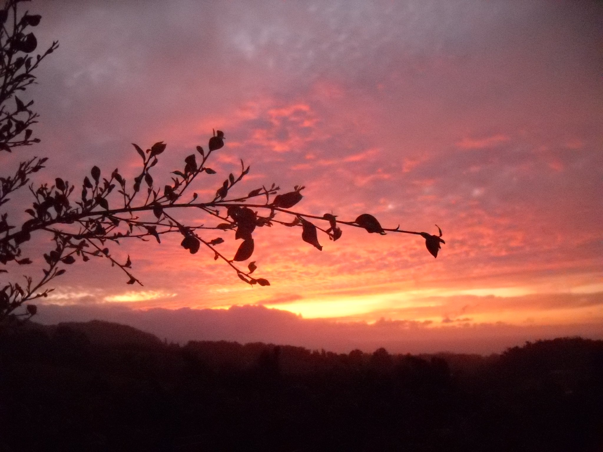 Maui Bookkeeping Consultants Kahului, HI Hawaiian Local