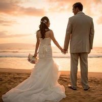 A Paradise Dream Wedding logo