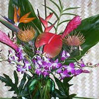 Hawaiian Exotics logo